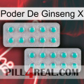 Ginseng Power X 29